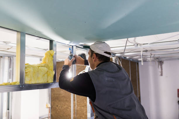 Best Blown-In Insulation  in San Marcos, TX